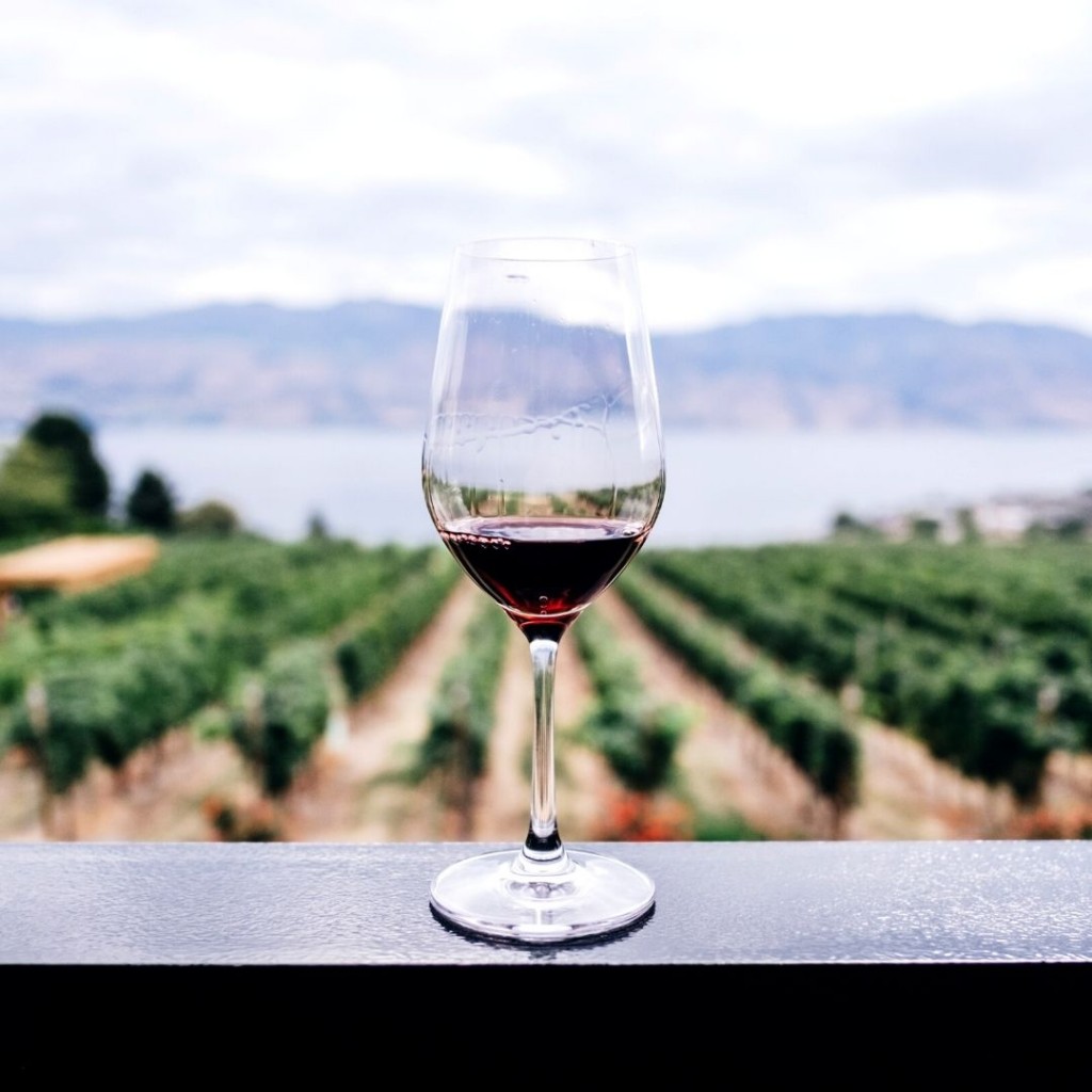 Vino prado